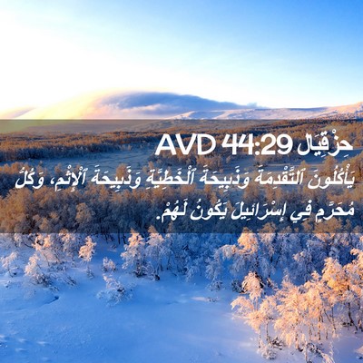 Picture 02 - حِزْقِيَال 44:29 AVD - يَأْكُلُونَ ٱلتَّقْدِمَةَ - Bible Verse Picture
