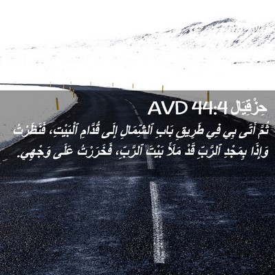 Picture 02 - حِزْقِيَال 44:4 AVD - ثُمَّ أَتَى بِي فِي - Bible Verse Picture