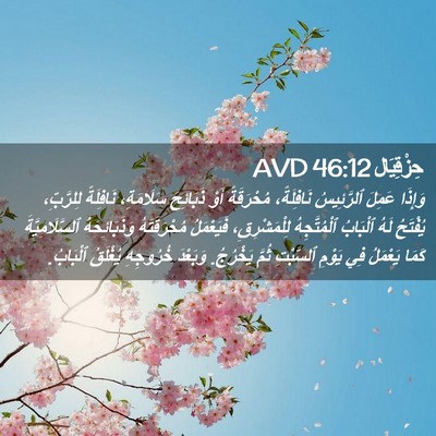 Picture 02 - حِزْقِيَال 46:12 AVD - وَإِذَا عَمِلَ ٱلرَّئِيسُ - Bible Verse Picture