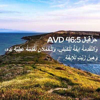 Picture 02 - حِزْقِيَال 46:5 AVD - وَٱلتَّقْدِمَةُ إِيفَةٌ - Bible Verse Picture