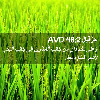 Picture 02 - حِزْقِيَال 48:2 AVD - وَعَلَى تُخْمِ دَانٍ مِنْ - Bible Verse Picture