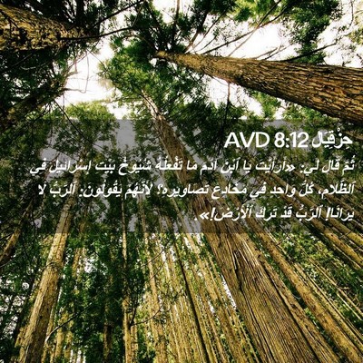 Picture 02 - حِزْقِيَال 8:12 AVD - ثُمَّ قَالَ لِي: - Bible Verse Picture