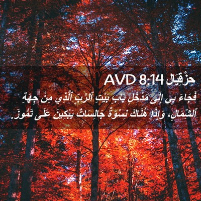 Picture 02 - حِزْقِيَال 8:14 AVD - فَجَاءَ بِي إِلَى مَدْخَلِ - Bible Verse Picture