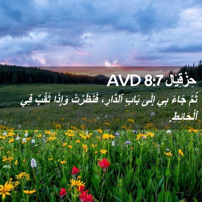 Picture 02 - حِزْقِيَال 8:7 AVD - ثُمَّ جَاءَ بِي إِلَى - Bible Verse Picture