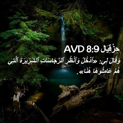 Picture 02 - حِزْقِيَال 8:9 AVD - وَقَالَ لِي: «ٱدْخُلْ - Bible Verse Picture