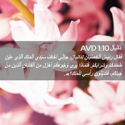 Picture 02 - دَانِيآل 1:10 AVD - فَقَالَ رَئِيسُ - Bible Verse Picture