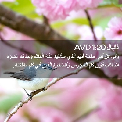 Picture 02 - دَانِيآل 1:20 AVD - وَفِي كُلِّ أَمْرِ - Bible Verse Picture