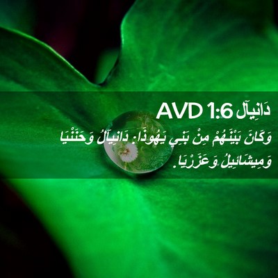 Picture 02 - دَانِيآل 1:6 AVD - وَكَانَ بَيْنَهُمْ مِنْ - Bible Verse Picture
