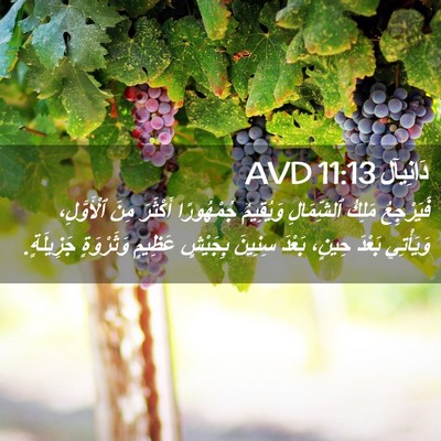 Picture 02 - دَانِيآل 11:13 AVD - فَيَرْجِعُ مَلِكُ - Bible Verse Picture