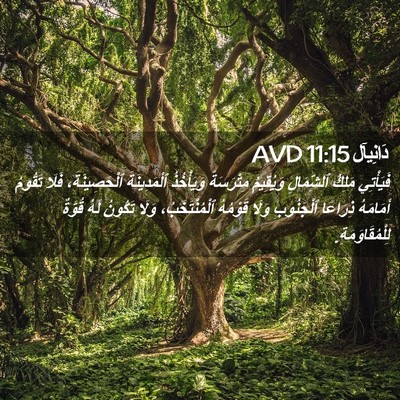 Picture 02 - دَانِيآل 11:15 AVD - فَيَأْتِي مَلِكُ - Bible Verse Picture