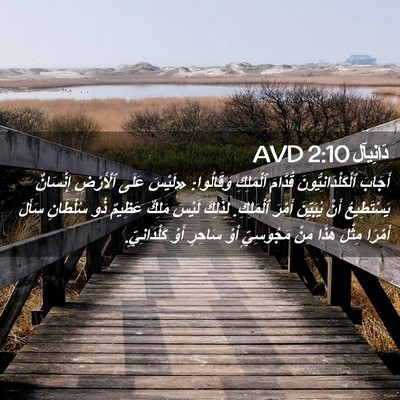 Picture 02 - دَانِيآل 2:10 AVD - أَجَابَ - Bible Verse Picture