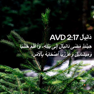 Picture 02 - دَانِيآل 2:17 AVD - حِينَئِذٍ مَضَى دَانِيآلُ - Bible Verse Picture