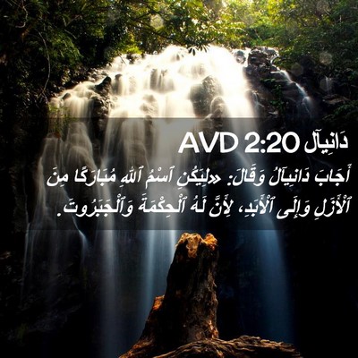 Picture 02 - دَانِيآل 2:20 AVD - أَجَابَ دَانِيآلُ وَقَالَ: - Bible Verse Picture