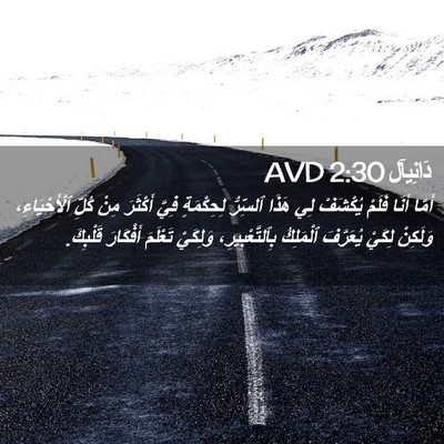 Picture 02 - دَانِيآل 2:30 AVD - أَمَّا أَنَا فَلَمْ - Bible Verse Picture