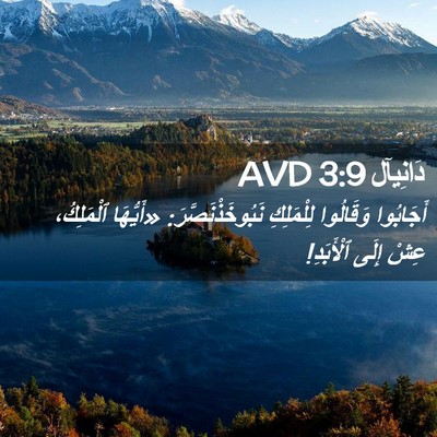 Picture 02 - دَانِيآل 3:9 AVD - أَجَابُوا وَقَالُوا - Bible Verse Picture