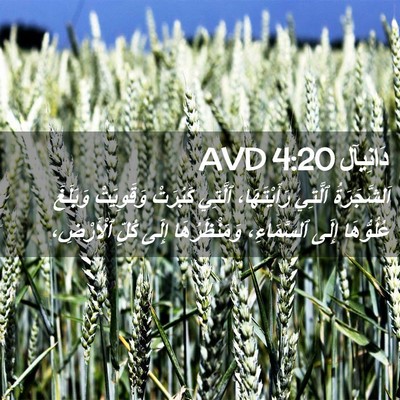 Picture 02 - دَانِيآل 4:20 AVD - اَلشَّجَرَةُ ٱلَّتِي - Bible Verse Picture
