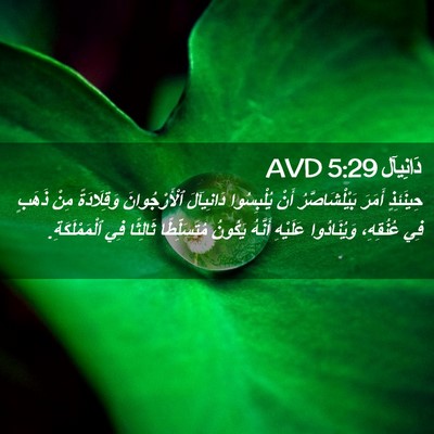 Picture 02 - دَانِيآل 5:29 AVD - حِينَئِذٍ أَمَرَ - Bible Verse Picture