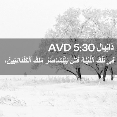 Picture 02 - دَانِيآل 5:30 AVD - فِي تِلْكَ ٱللَّيْلَةِ - Bible Verse Picture