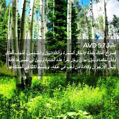 Picture 02 - دَانِيآل 5:7 AVD - فَصَرَخَ ٱلْمَلِكُ - Bible Verse Picture