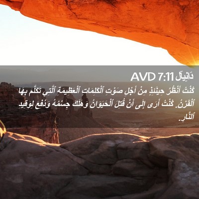 Picture 02 - دَانِيآل 7:11 AVD - كُنْتُ أَنْظُرُ حِينَئِذٍ - Bible Verse Picture