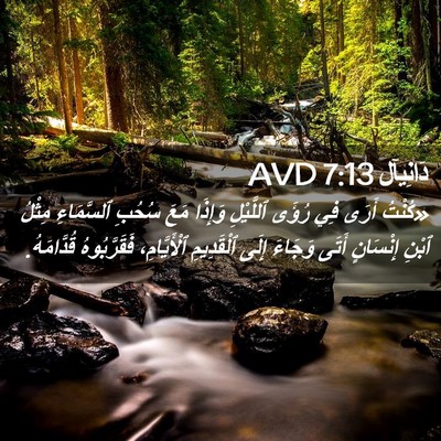 Picture 02 - دَانِيآل 7:13 AVD - «كُنْتُ أَرَى فِي رُؤَى - Bible Verse Picture