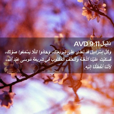 Picture 02 - دَانِيآل 9:11 AVD - وَكُلُّ إِسْرَائِيلَ قَدْ - Bible Verse Picture