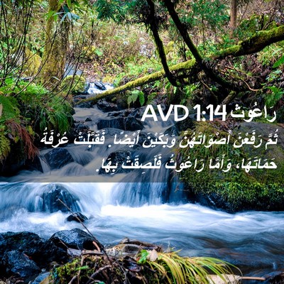 Picture 02 - رَاعُوث 1:14 AVD - ثُمَّ رَفَعْنَ - Bible Verse Picture
