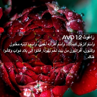 Picture 02 - رَاعُوث 1:2 AVD - وَٱسْمُ ٱلرَّجُلِ - Bible Verse Picture