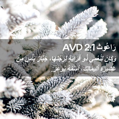 Picture 02 - رَاعُوث 2:1 AVD - وَكَانَ لِنُعْمِي ذُو - Bible Verse Picture