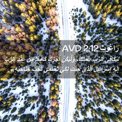 Picture 02 - رَاعُوث 2:12 AVD - لِيُكَافِئِ ٱلرَّبُّ - Bible Verse Picture