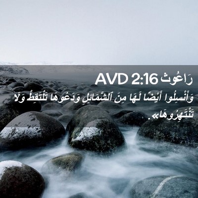 Picture 02 - رَاعُوث 2:16 AVD - وَأَنْسِلُوا أَيْضًا - Bible Verse Picture
