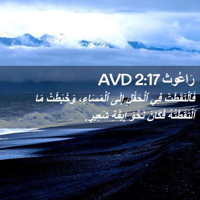 Picture 02 - رَاعُوث 2:17 AVD - فَٱلْتَقَطَتْ فِي - Bible Verse Picture