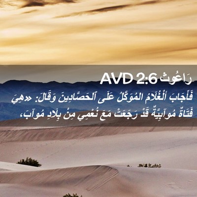 Picture 02 - رَاعُوث 2:6 AVD - فَأَجَابَ ألْغُلَامُ - Bible Verse Picture