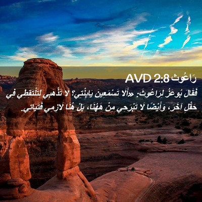 Picture 02 - رَاعُوث 2:8 AVD - فَقَالَ بُوعَزُ - Bible Verse Picture