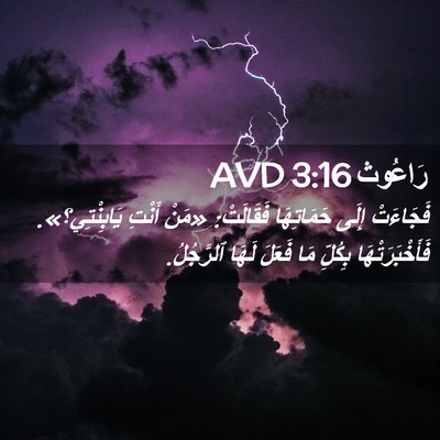 Picture 02 - رَاعُوث 3:16 AVD - فَجَاءَتْ إِلَى - Bible Verse Picture