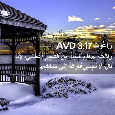 Picture 02 - رَاعُوث 3:17 AVD - وَقَالَتْ: «هَذِهِ - Bible Verse Picture