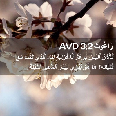 Picture 02 - رَاعُوث 3:2 AVD - فَٱلْآنَ أَلَيْسَ بُوعَزُ - Bible Verse Picture
