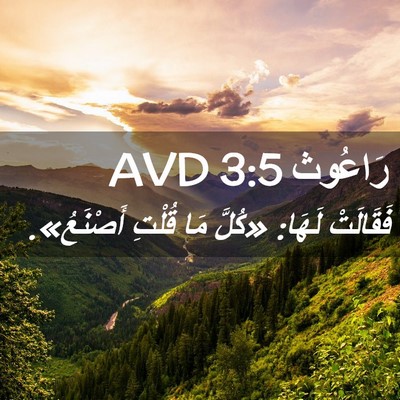 Picture 02 - رَاعُوث 3:5 AVD - فَقَالَتْ لَهَا: «كُلَّ - Bible Verse Picture