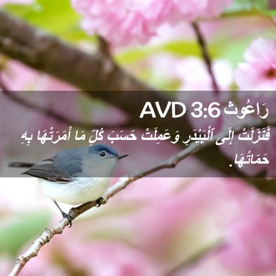 Picture 02 - رَاعُوث 3:6 AVD - فَنَزَلَتْ إِلَى - Bible Verse Picture
