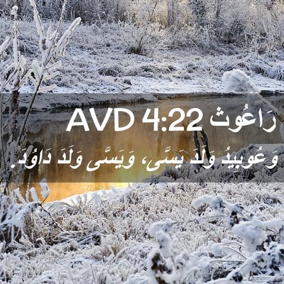 Picture 02 - رَاعُوث 4:22 AVD - وَعُوبِيدُ وَلَدَ يَسَّى، - Bible Verse Picture