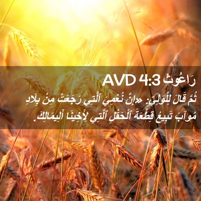 Picture 02 - رَاعُوث 4:3 AVD - ثُمَّ قَالَ لِلْوَلِيِّ: - Bible Verse Picture