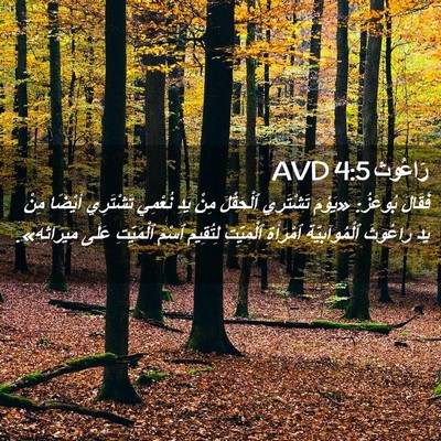 Picture 02 - رَاعُوث 4:5 AVD - فَقَالَ بُوعَزُ: «يَوْمَ - Bible Verse Picture