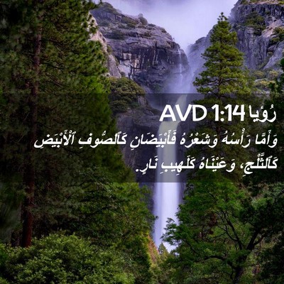 Picture 02 - رُؤيا 1:14 AVD - وَأَمَّا رَأْسُهُ - Bible Verse Picture