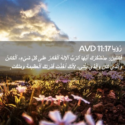 Picture 02 - رُؤيا 11:17 AVD - قَائِلِينَ: «نَشْكُرُكَ - Bible Verse Picture