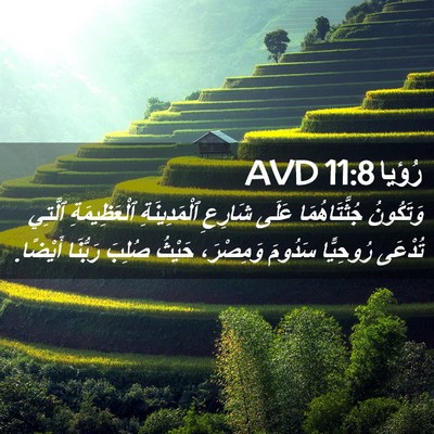 Picture 02 - رُؤيا 11:8 AVD - وَتَكُونُ جُثَّتَاهُمَا - Bible Verse Picture