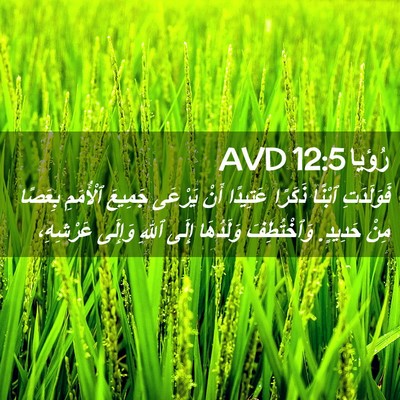 Picture 02 - رُؤيا 12:5 AVD - فَوَلَدَتِ ٱبْنًا ذَكَرًا - Bible Verse Picture