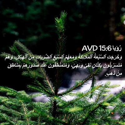 Picture 02 - رُؤيا 15:6 AVD - وَخَرَجَتِ ٱلسَّبْعَةُ - Bible Verse Picture