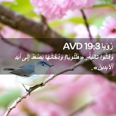 Picture 02 - رُؤيا 19:3 AVD - وَقَالُوا ثَانِيَةً: - Bible Verse Picture