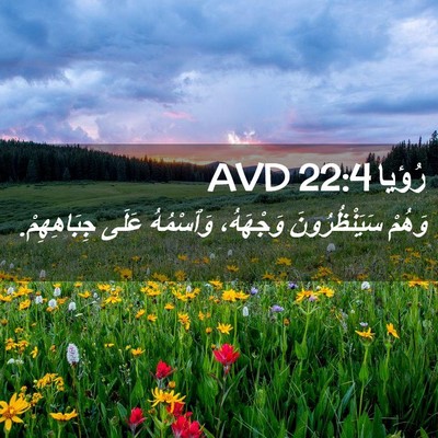 Picture 02 - رُؤيا 22:4 AVD - وَهُمْ سَيَنْظُرُونَ - Bible Verse Picture