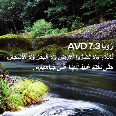 Picture 02 - رُؤيا 7:3 AVD - قَائِلًا: «لَا تَضُرُّوا - Bible Verse Picture